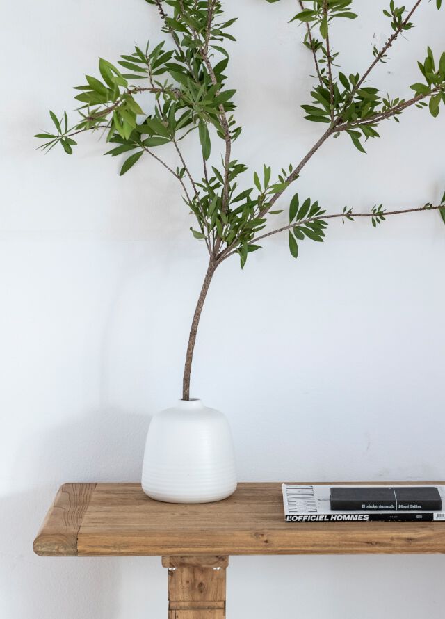 Discriminación Avispón por ejemplo Decoración Para El Hogar | Decoración De Casa | Casa Viva ®