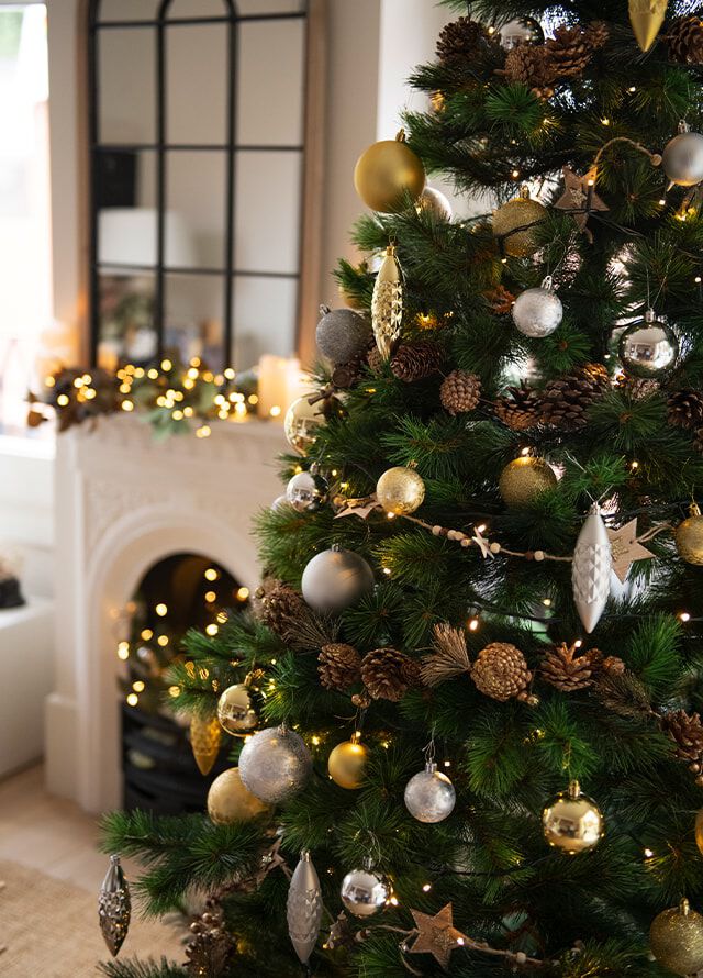 ambiente tradicional