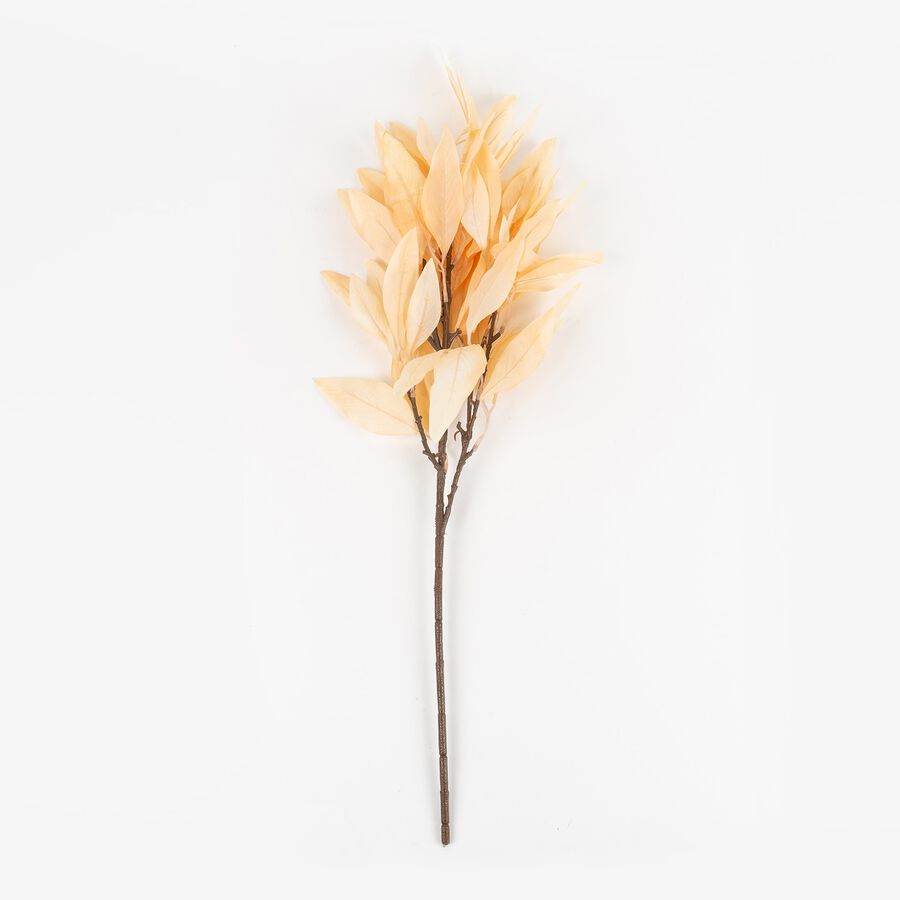 Rama de laurel beige