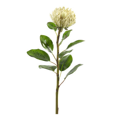 Flor Protea artificial blanca 71cm
