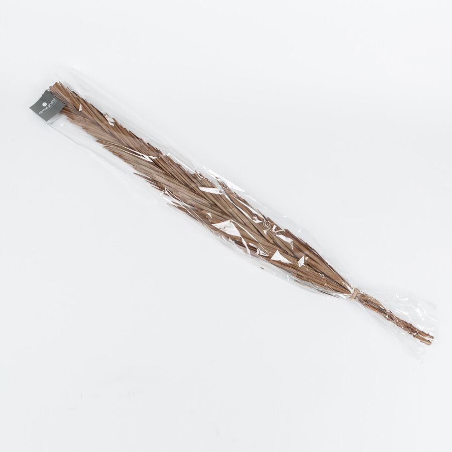 Ramas de flor seca 101cm