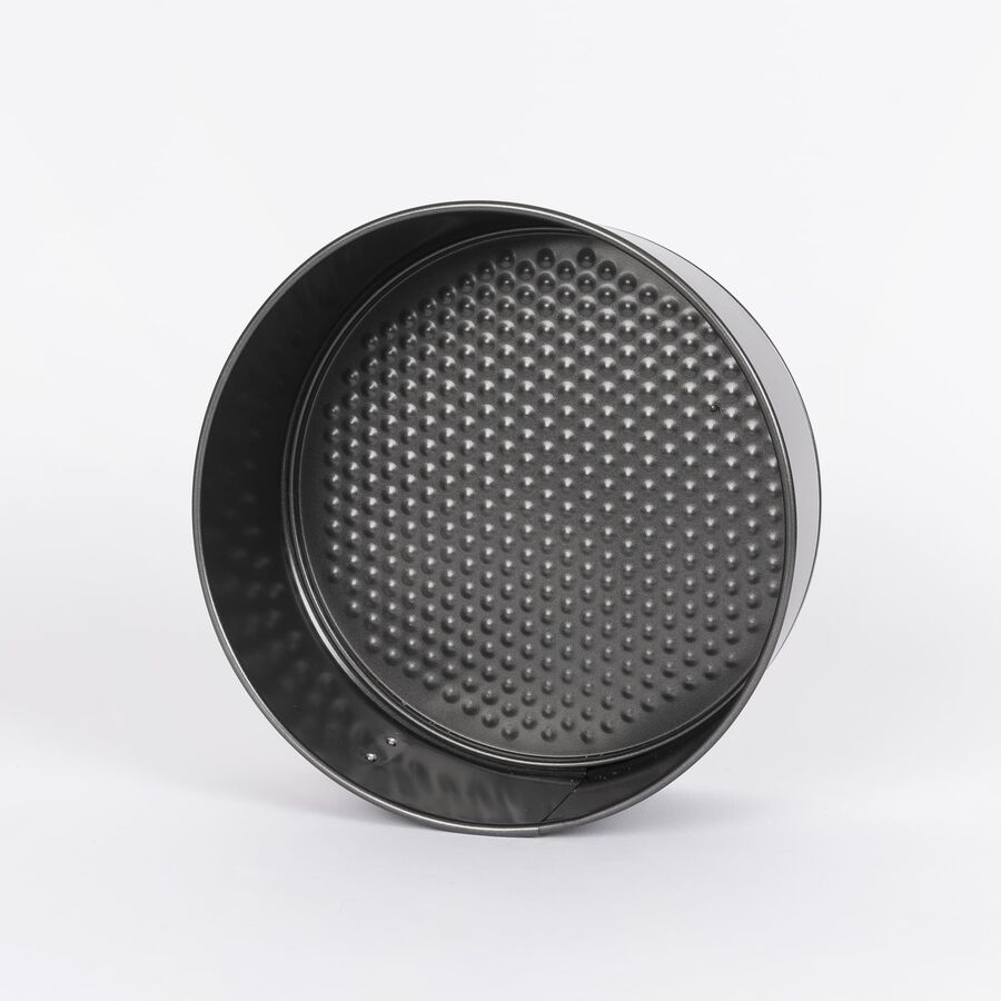 Molde desmonable de metal Ø24x10cm