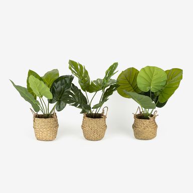 Planta artificial en maceta surtida 46cm