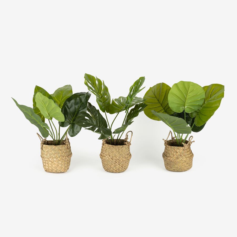 Planta artificial en maceta surtida 46cm