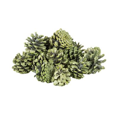 Bolsa piñas 300g surtida