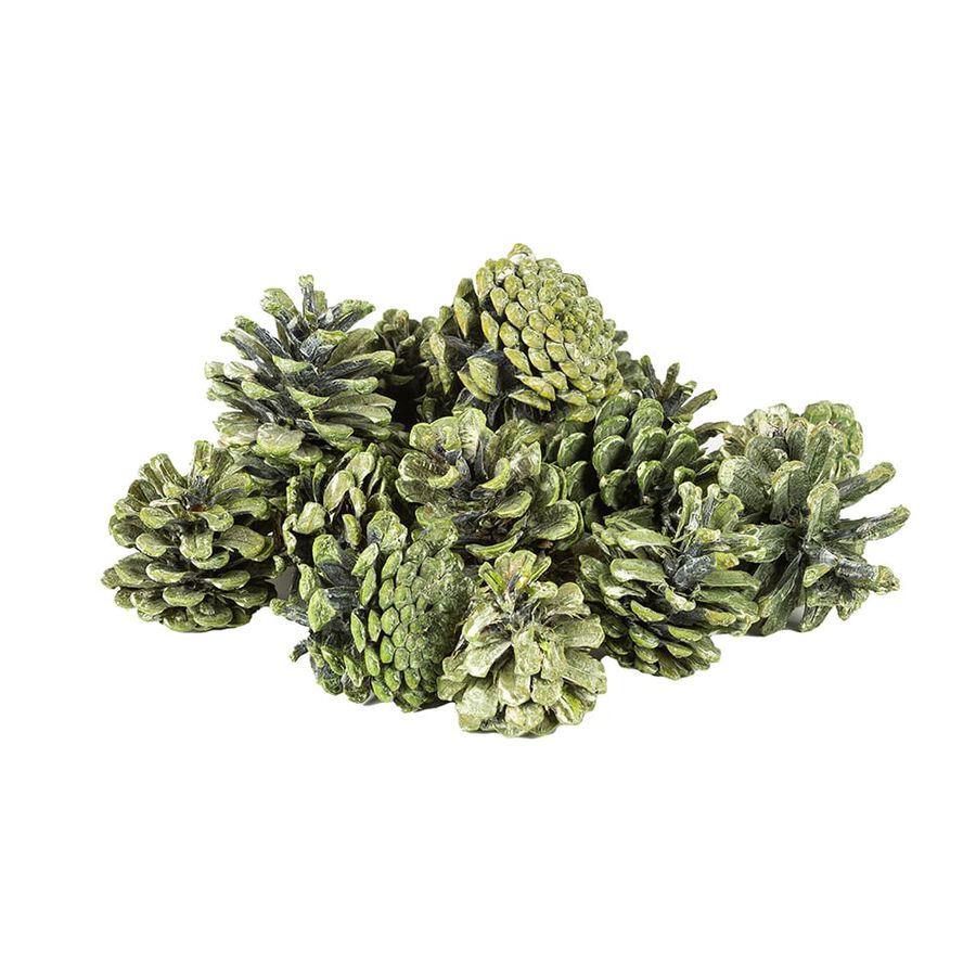 Bolsa piñas 300g surtida