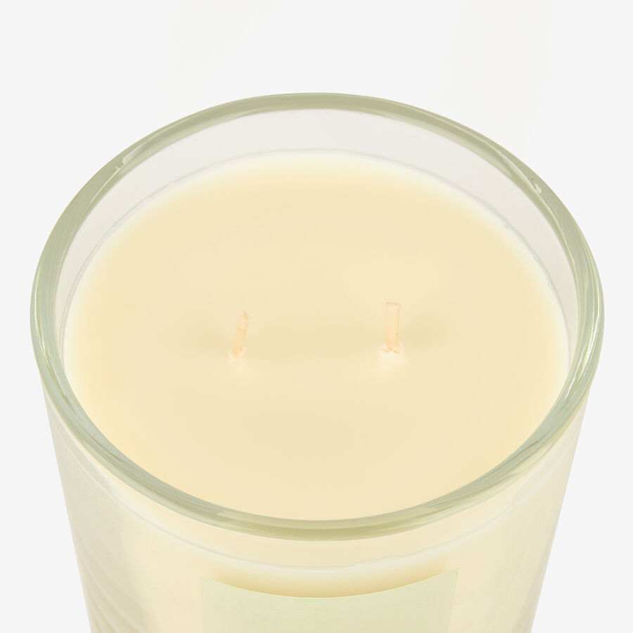 Vela arom&aacute;tica Citric 450g &Oslash;11x11cm 