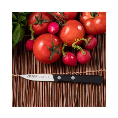 Cuchillo pelador universal de acero inoxidable 7cm - Arcos