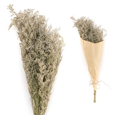 Ramo de flor seca hierba verde 70cm