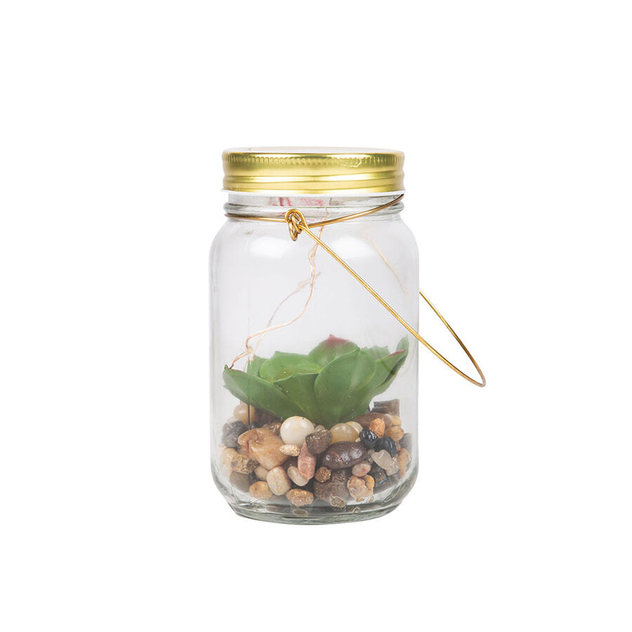 Lámpara LED con planta