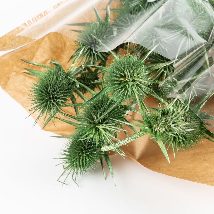 Ramo de flores secas 60cm en varios colores