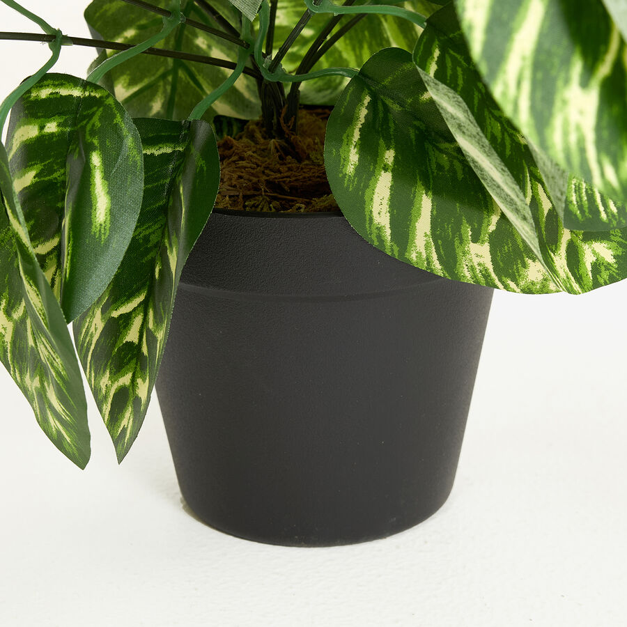 Planta artificial en maceta Calathea 45cm