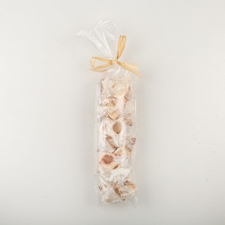 Bolsa caracolas decorativas