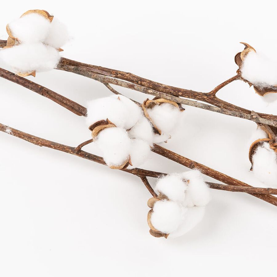 Set de 4 ramas de algodón artificial de 92cm
