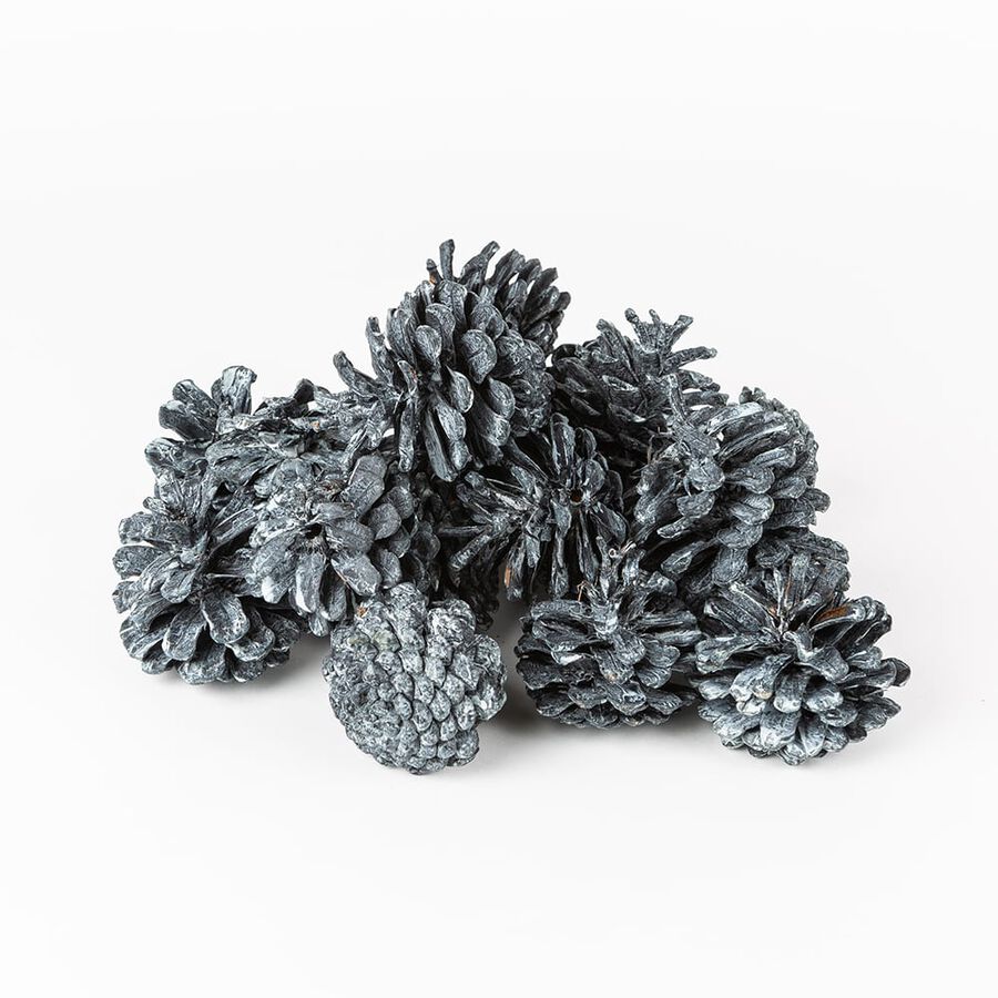 Bolsa piñas 300g surtida