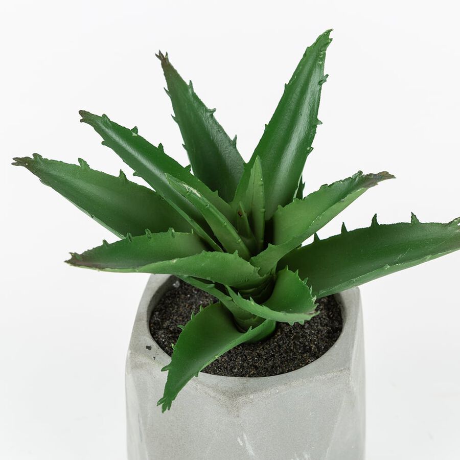 Cactus artificial en maceta Filifera 20cm