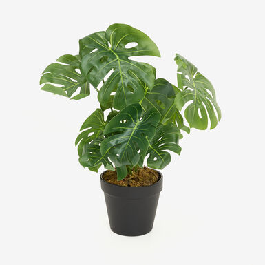 Planta artificial en maceta Monstera 35cm