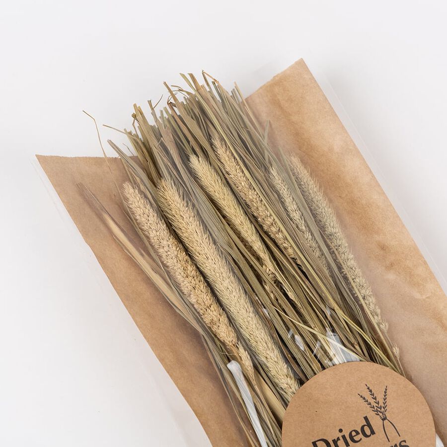 Ramo de ramas secas natural