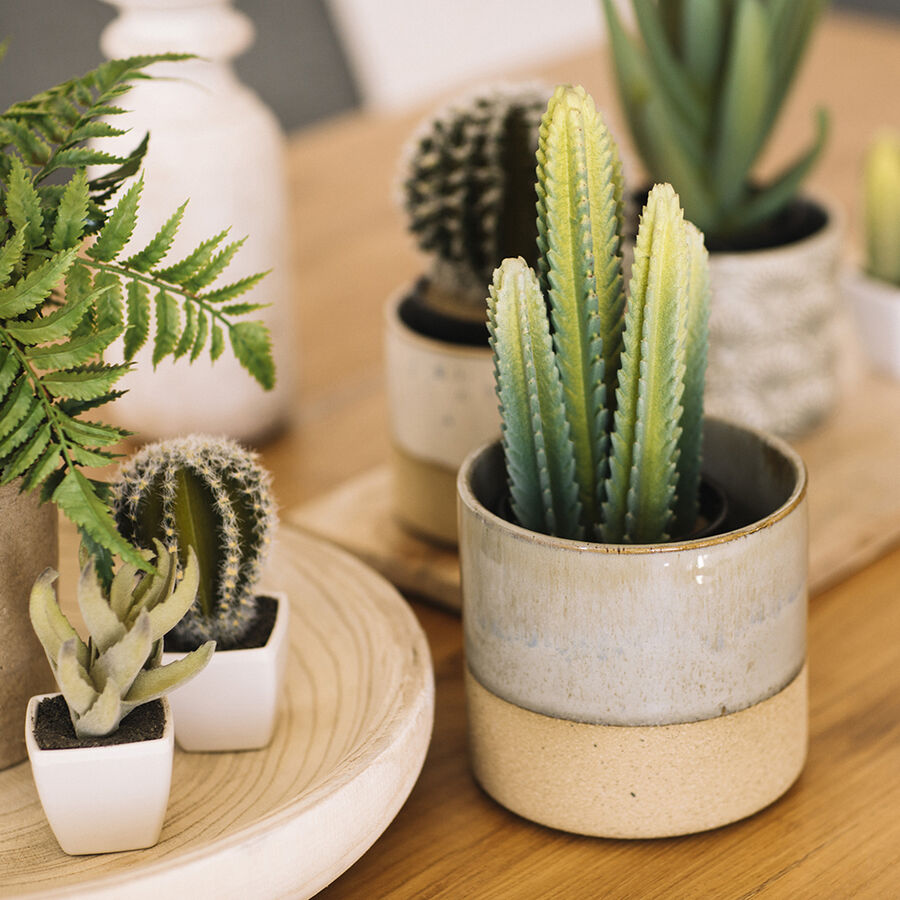 Cactus sint&eacute;tico peque&ntilde;o en varios modelos