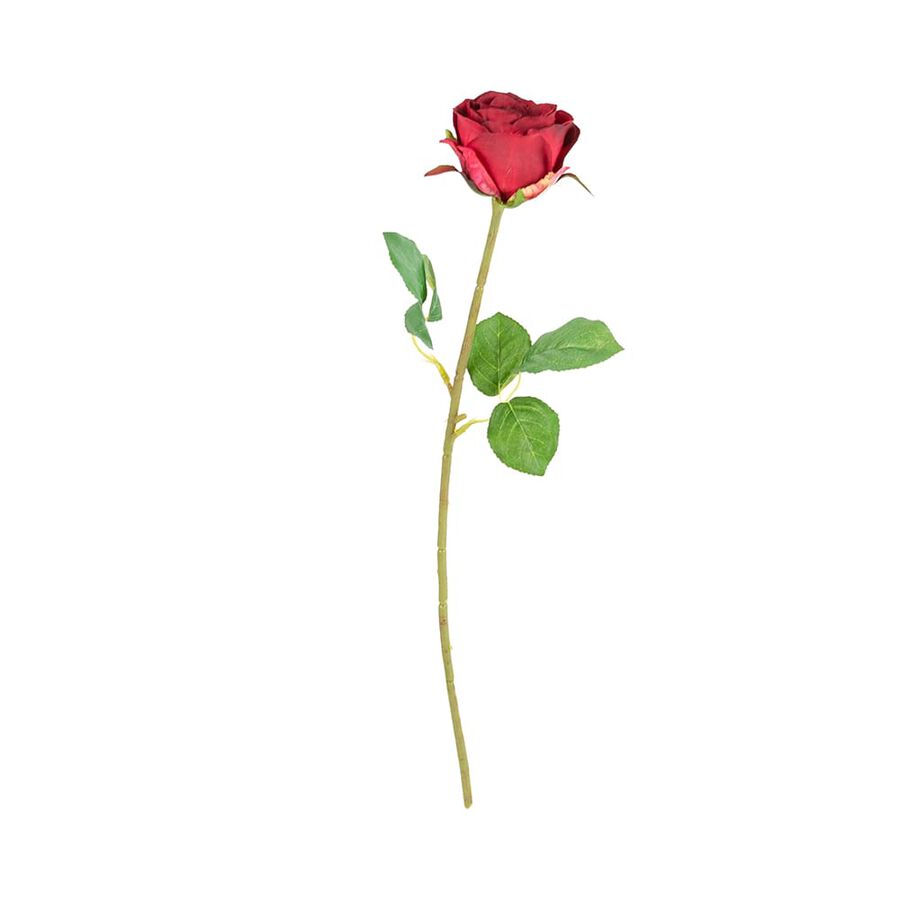 Vara rosa alena roja 48cm