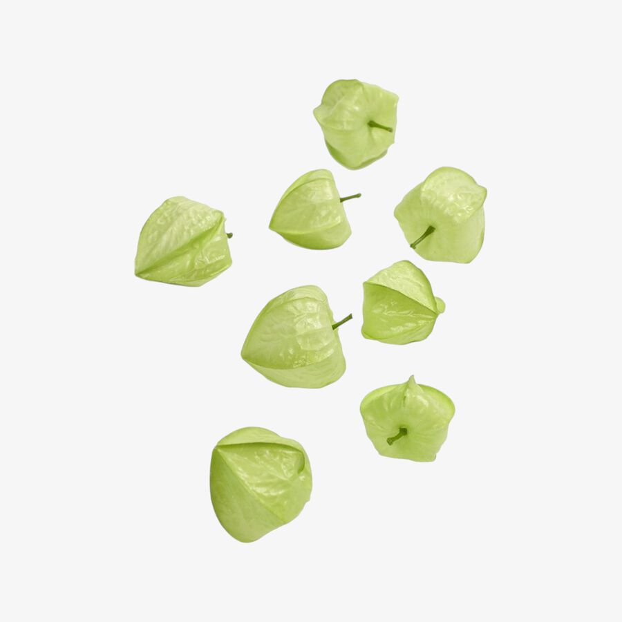 Pack de 10 flores artificiales color verde Chinese Lantern