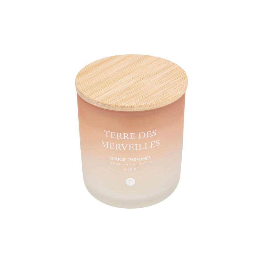 Vela aromática en vaso de cristal salmón Nora 255g Ø9x11cm