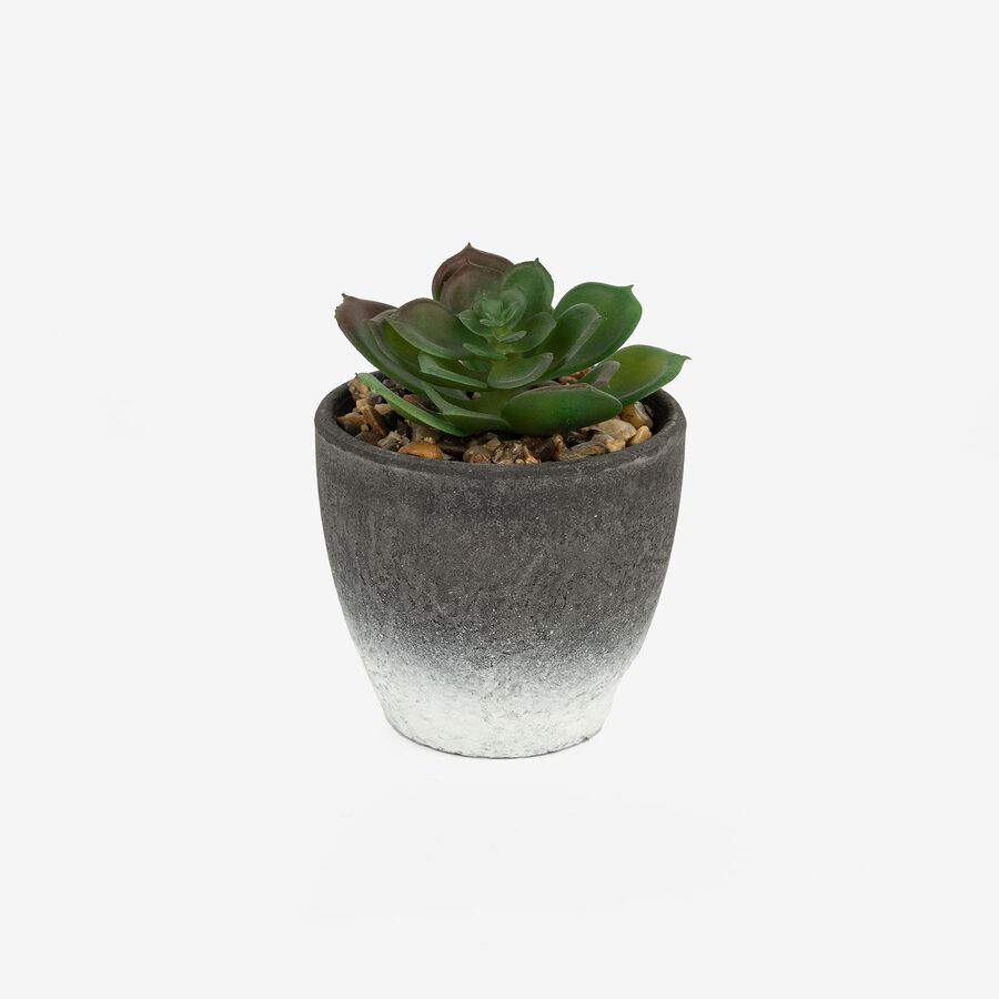 Cactus artificial en varios dise&ntilde;os 10cm