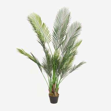 Planta artificial en maceta Palmera 160cm