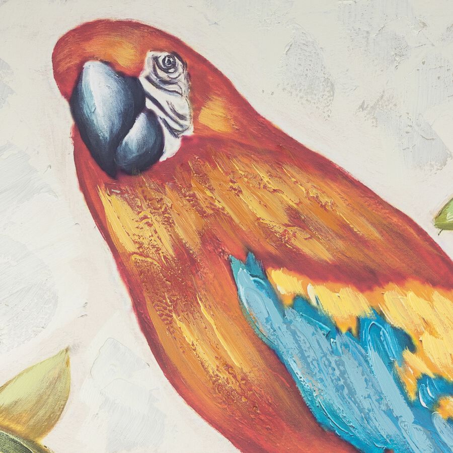 Cuadro con lienzo de un loro 80x80cm