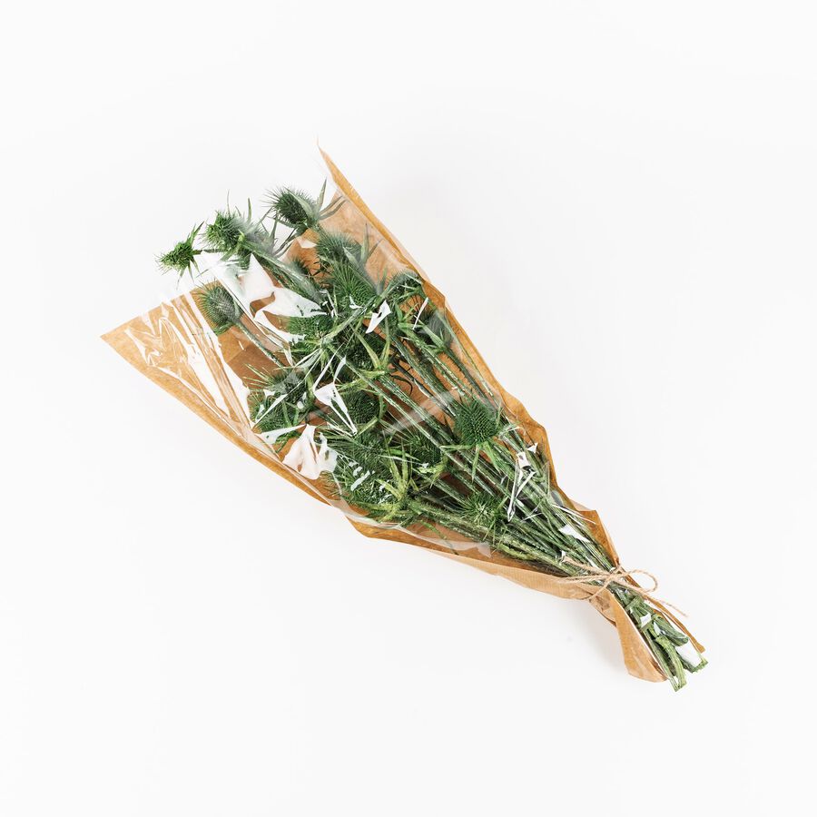 Ramo de flores secas 60cm en varios colores