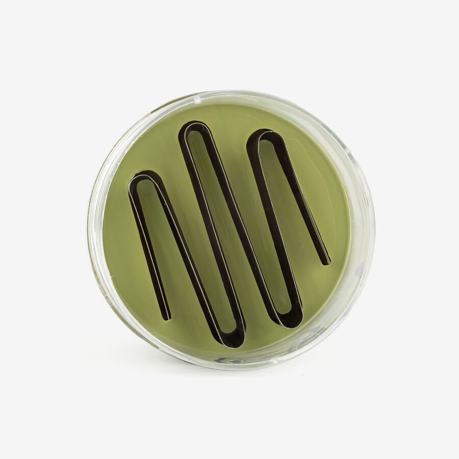 Picadora manual de plástico Quid Ø8,2x23cm