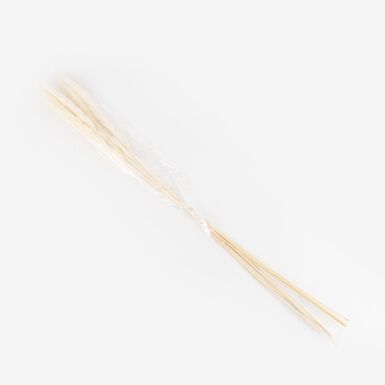 Pampa seca en varios modelos 75cm