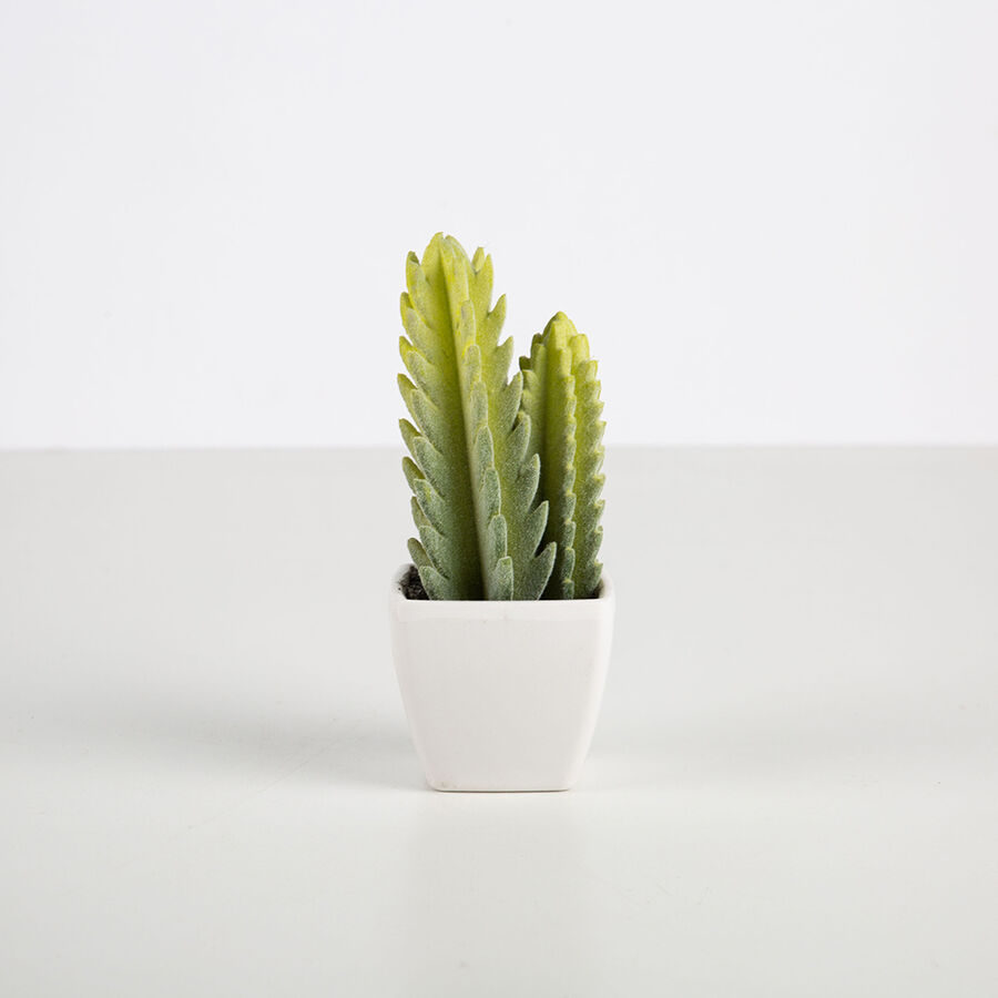 Cactus sint&eacute;tico peque&ntilde;o en varios modelos