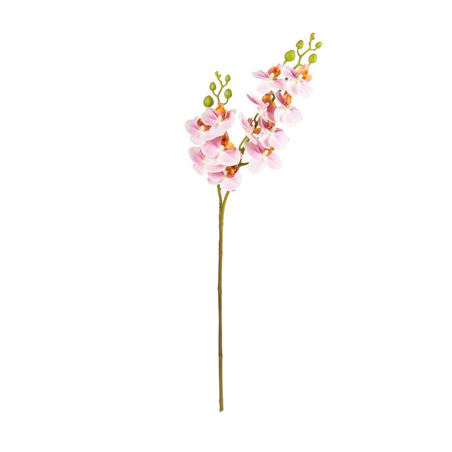 Vara orquidea mini rosa 64cm
