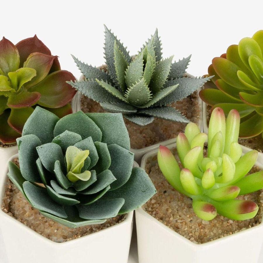 Cactus artificial con maceta en varios diseños 10cm