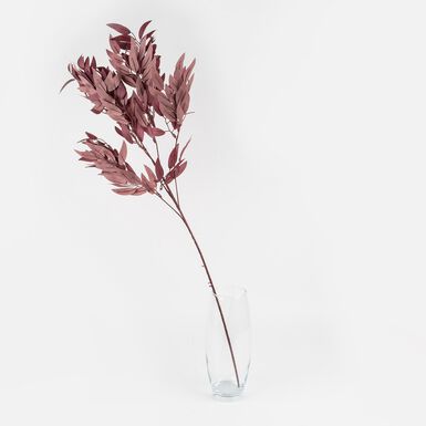 Rama de olivo marr&oacute;n