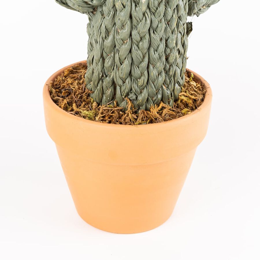 Cactus de cuerda en maceta 2 modelos a elegir 50x15cm