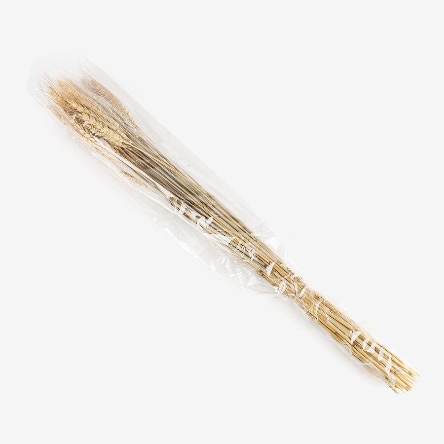 Rama de flores seca de espigas de 60cm