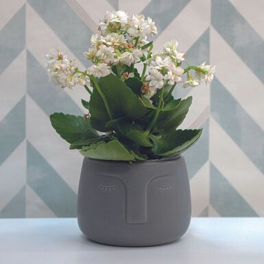 Macetero de cerámica negro Ajanu Ø13x11cm