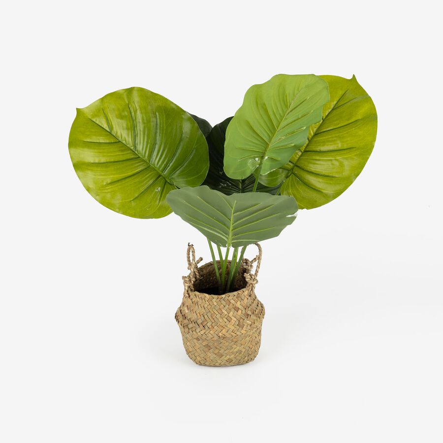 Planta artificial en maceta surtida 46cm