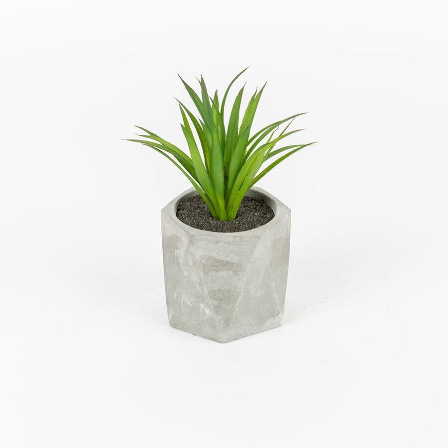 Cactus artificial en maceta Filifera 20cm