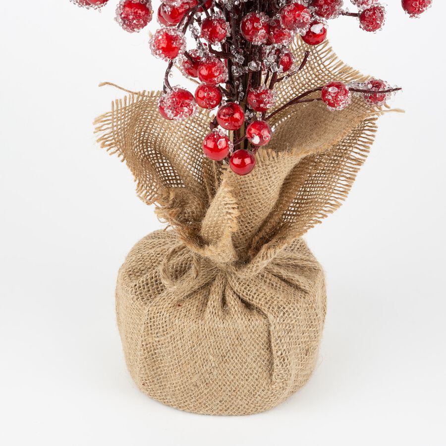 Maceta de frutos rojos 60cm