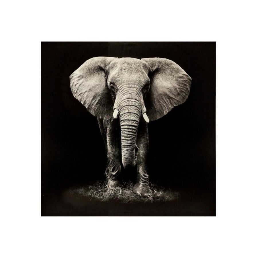 Lienzo con marco de madera Elefante 100x100cm
