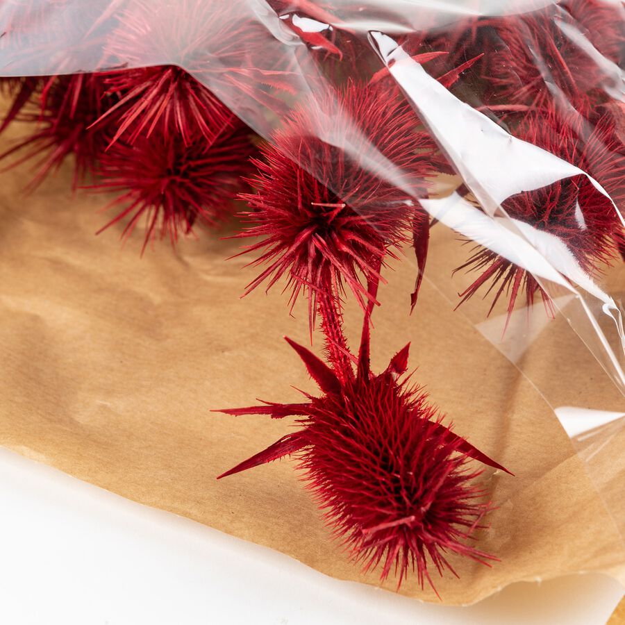 Ramo de flores secas 60cm en varios colores