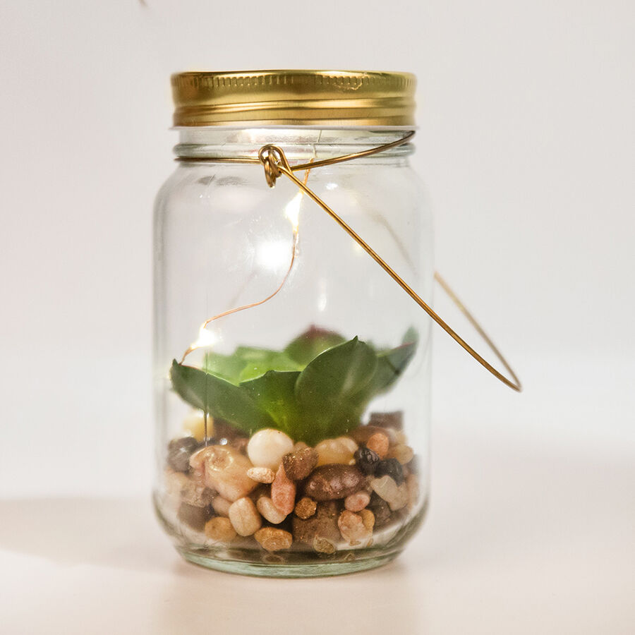 Lámpara LED con planta