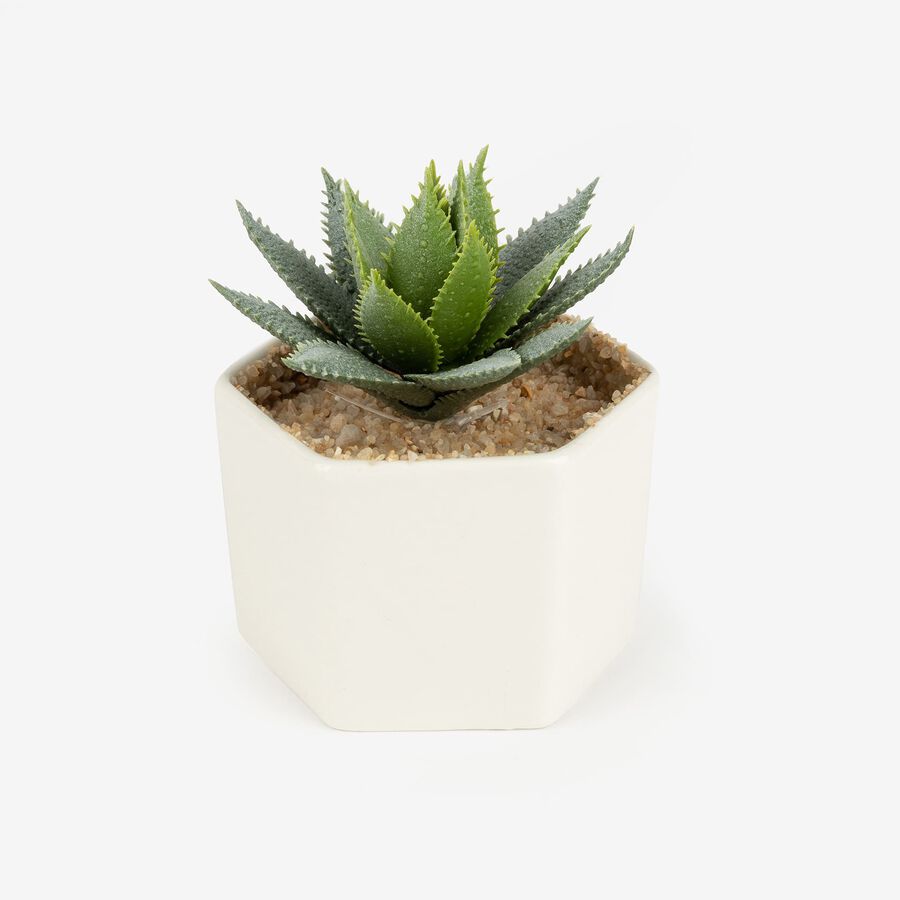 Cactus artificial con maceta en varios diseños 10cm