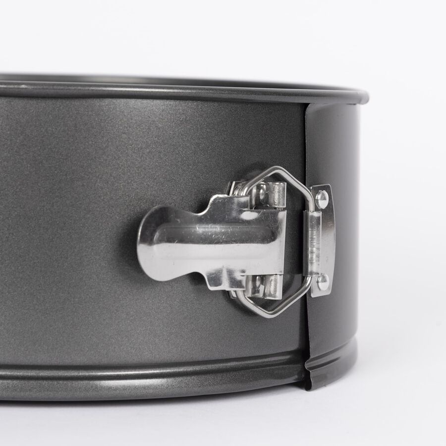 Molde desmonable de metal Ø24x10cm