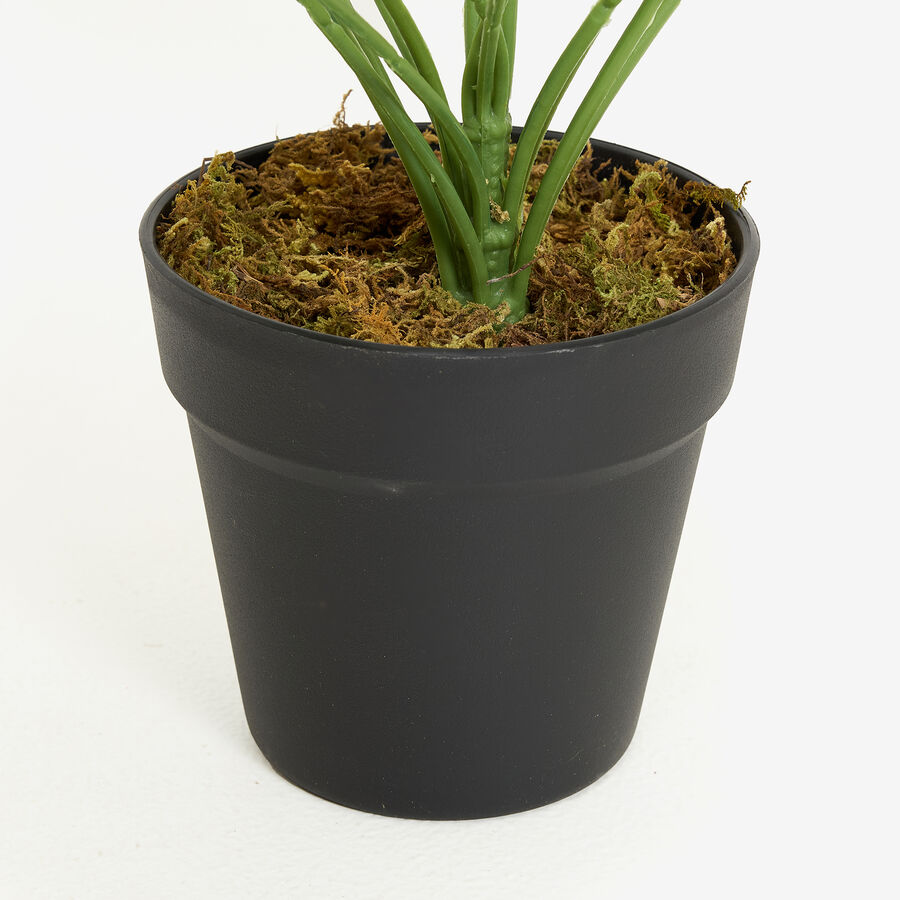 Planta artificial en maceta Singonio 60cm