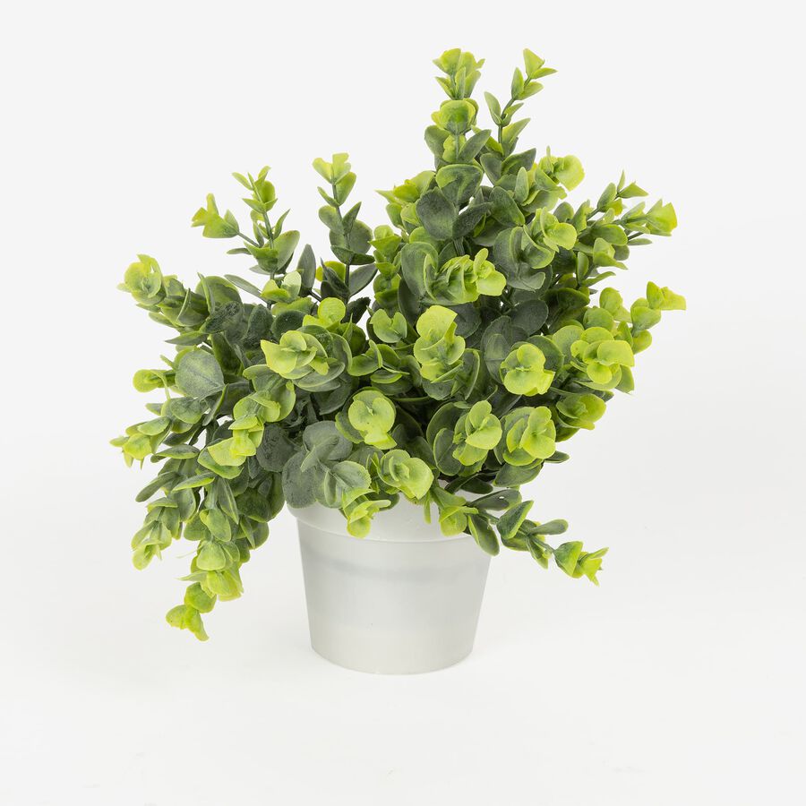 Planta artificial en maceta surtida 24cm