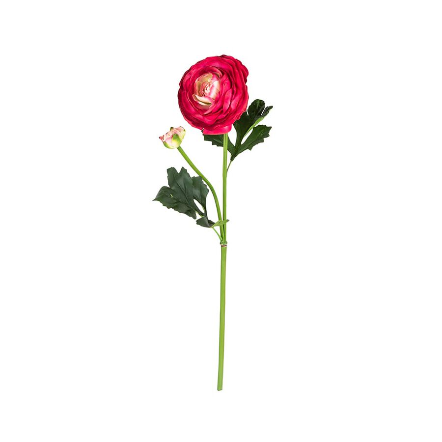 Vara de ran&uacute;nculo grande fucsia 55cm
